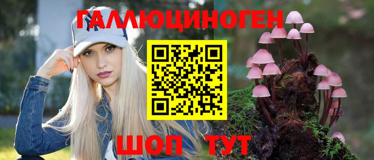 Междуреченск  Псилоцибиновые грибы Psilocybe  Вход с VPN  Галлюциногенные грибы Cubensis 